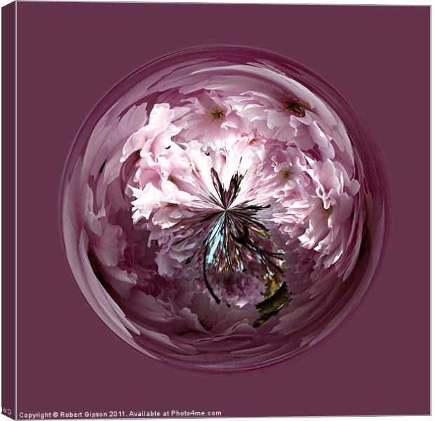 Spherical Cherry paperweight Canvas Print by Robert Gipson