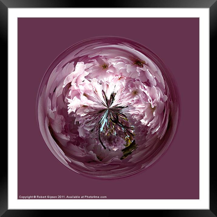 Spherical Cherry paperweight Framed Mounted Print by Robert Gipson