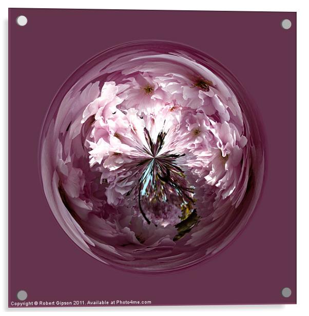 Spherical Cherry paperweight Acrylic by Robert Gipson