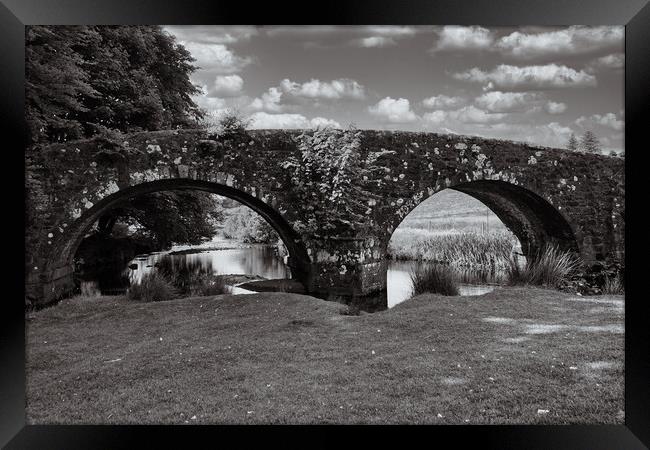 Bridges over the West Dart Framed Print by Roger Mechan