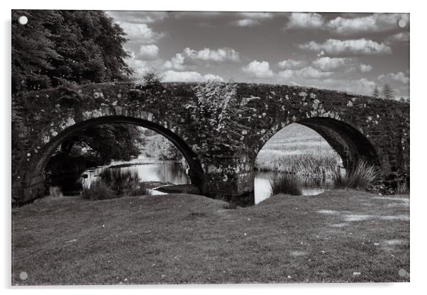Bridges over the West Dart Acrylic by Roger Mechan