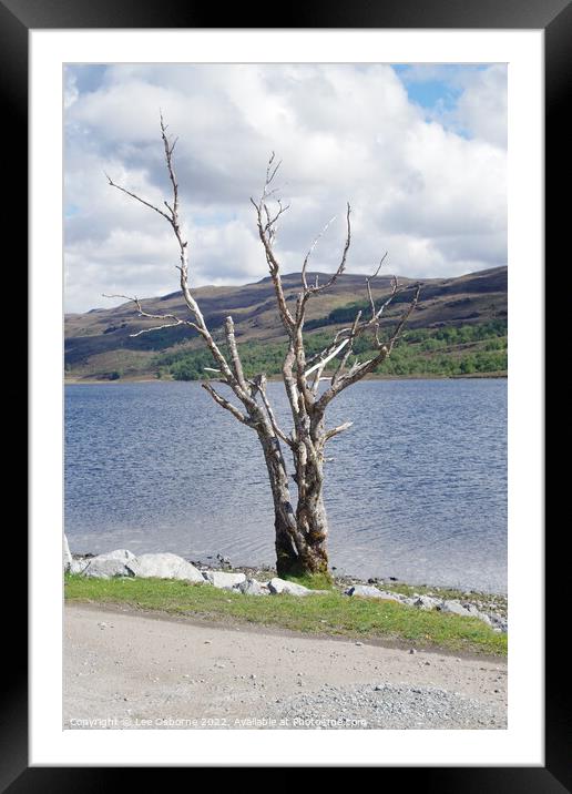 Shore of Loch Achall Framed Mounted Print by Lee Osborne