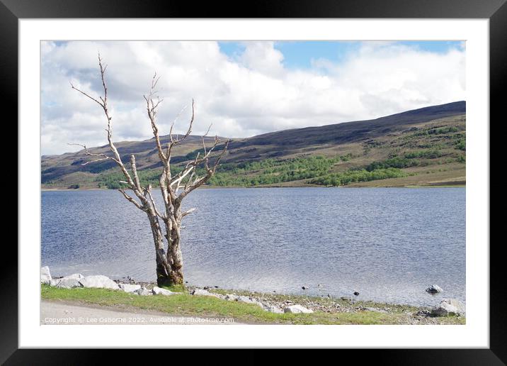 Shores of Loch Achall Framed Mounted Print by Lee Osborne