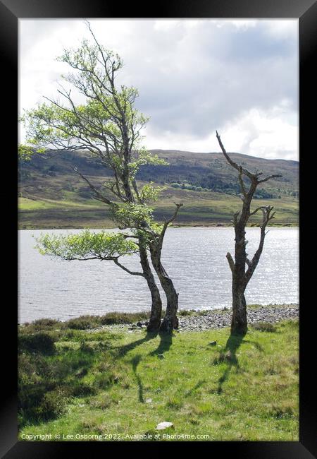On the Shores of Loch Achall Framed Print by Lee Osborne