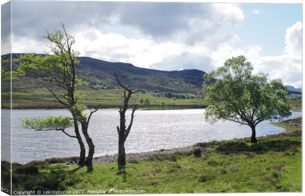 Loch Achall Shores Canvas Print by Lee Osborne