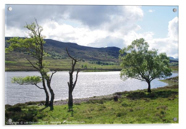 Loch Achall Shores Acrylic by Lee Osborne