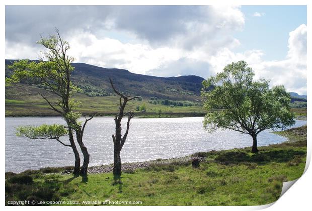 Loch Achall Shores Print by Lee Osborne