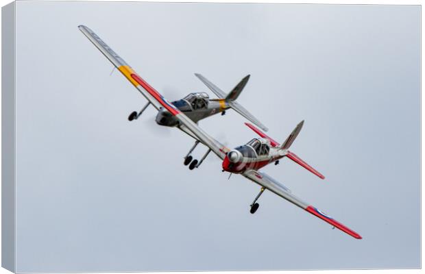 DHC-1 Chipmunks Canvas Print by J Biggadike