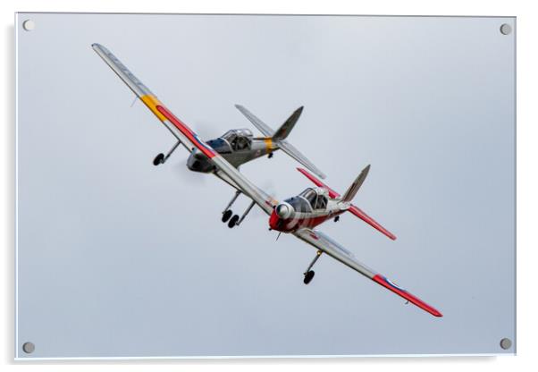 DHC-1 Chipmunks Acrylic by J Biggadike