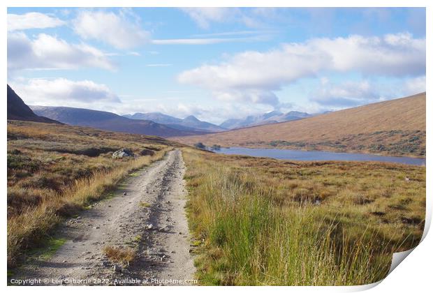 Path by the Loch Print by Lee Osborne