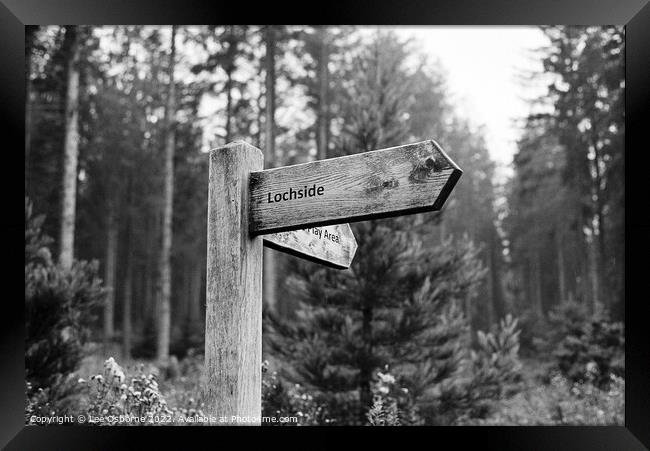 Signpost In The Forest Framed Print by Lee Osborne