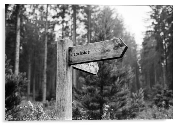 Signpost In The Forest Acrylic by Lee Osborne