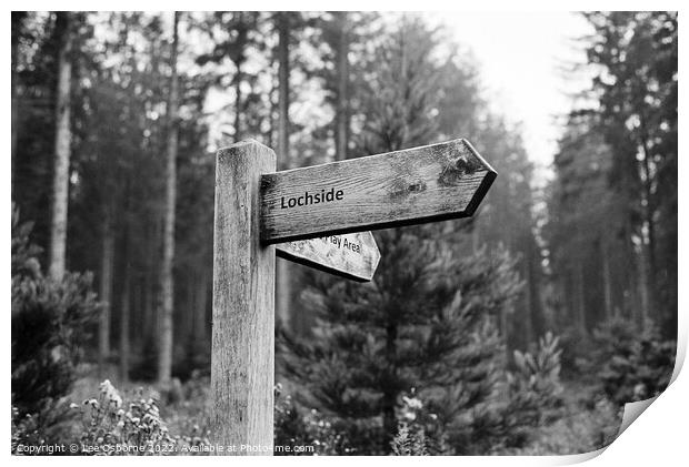 Signpost In The Forest Print by Lee Osborne