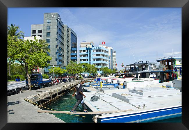 Male' city harbor Framed Print by Hassan Najmy