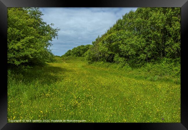 Pathway Through the Dunes at Kenfig Framed Print by Nick Jenkins
