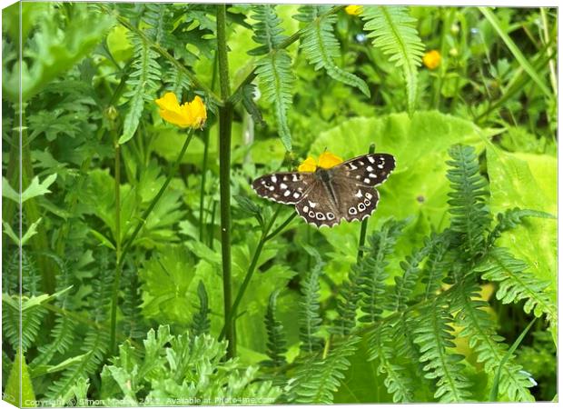 Speckled Wood Butterfly Canvas Print by Simon Marlow