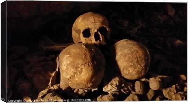 Skulls, Paris Catacombs Canvas Print by Lee Osborne