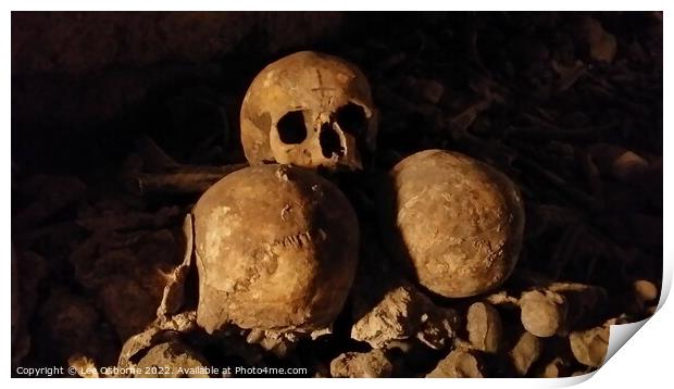 Skulls, Paris Catacombs Print by Lee Osborne