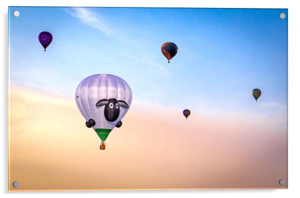 Hot Air Balloons Acrylic by Graeme B