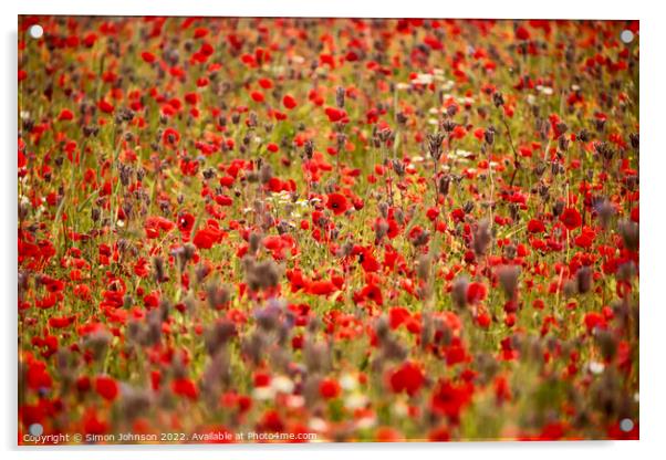 Poppy galore Acrylic by Simon Johnson