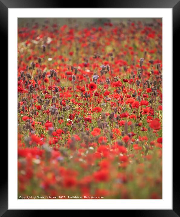 Poppys and meadow flowers  Framed Mounted Print by Simon Johnson
