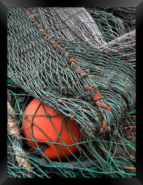 fishing nets Framed Print by Heather Newton