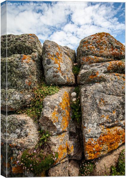 Lichen covered rocks Lands End, Cornwall  Canvas Print by Derek Daniel