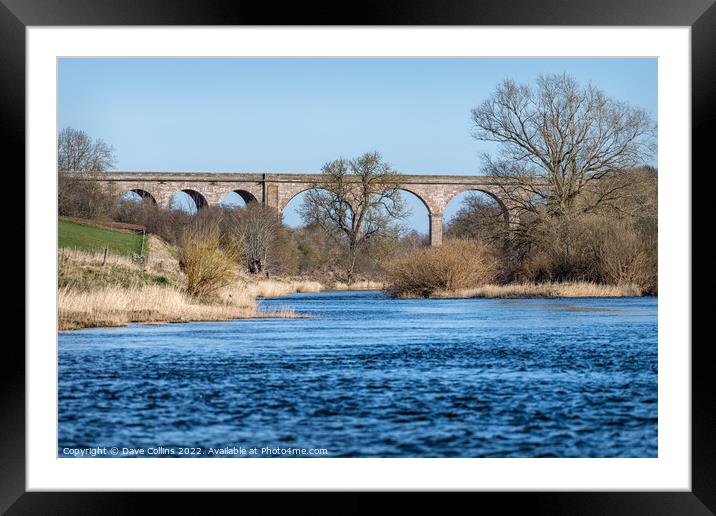 Outdoor Roxburgh Viaduct, Teviot River, Scotland Framed Mounted Print by Dave Collins