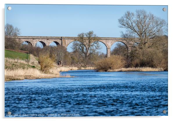 Outdoor Roxburgh Viaduct, Teviot River, Scotland Acrylic by Dave Collins