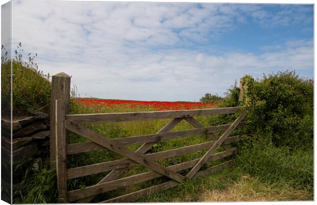 Gate to the field of  poppies  Canvas Print by kathy white