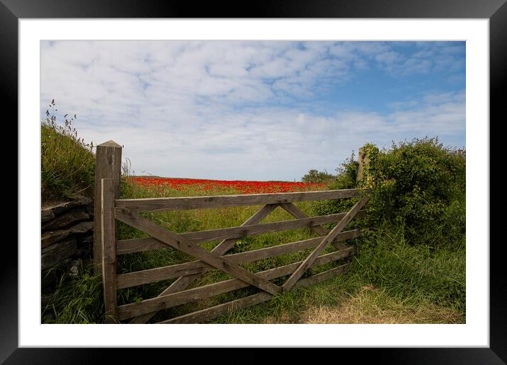 Gate to the field of  poppies  Framed Mounted Print by kathy white
