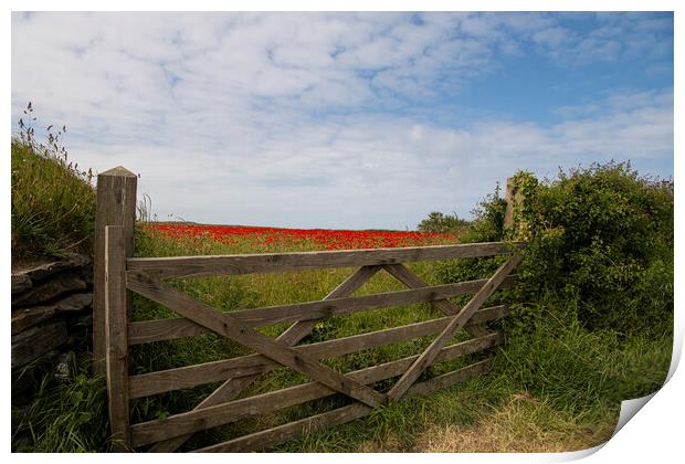 Gate to the field of  poppies  Print by kathy white