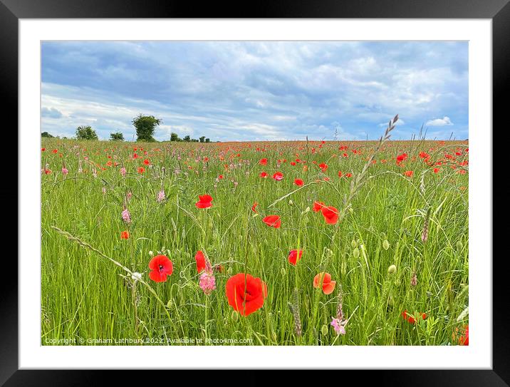 Poppy Field Framed Mounted Print by Graham Lathbury
