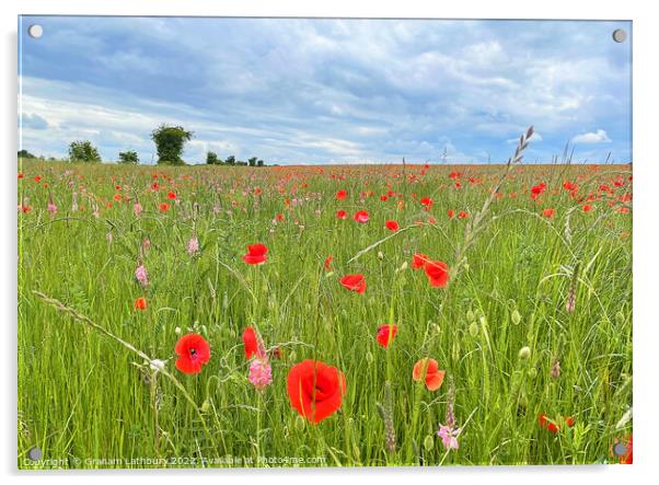 Poppy Field Acrylic by Graham Lathbury