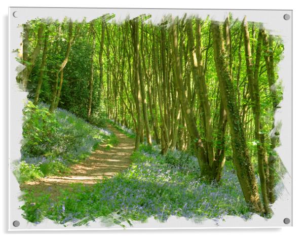 Path through blue bell wood. Acrylic by David Birchall