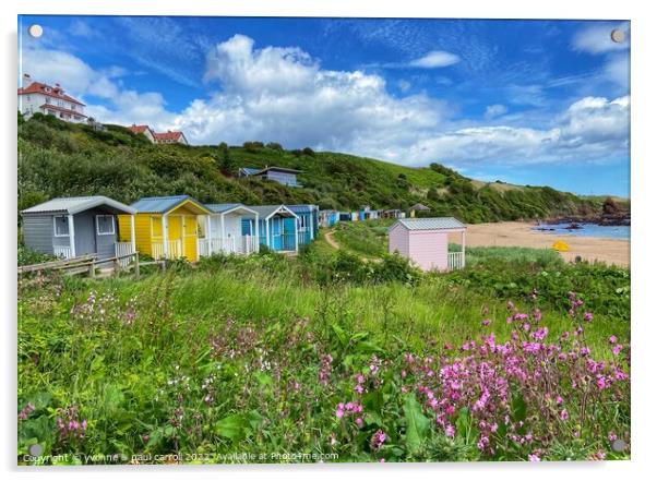 Coldingham Bay beach houses Acrylic by yvonne & paul carroll