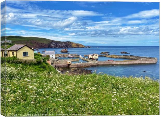 St Abbs harbout Canvas Print by yvonne & paul carroll