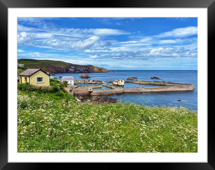 St Abbs harbout Framed Mounted Print by yvonne & paul carroll