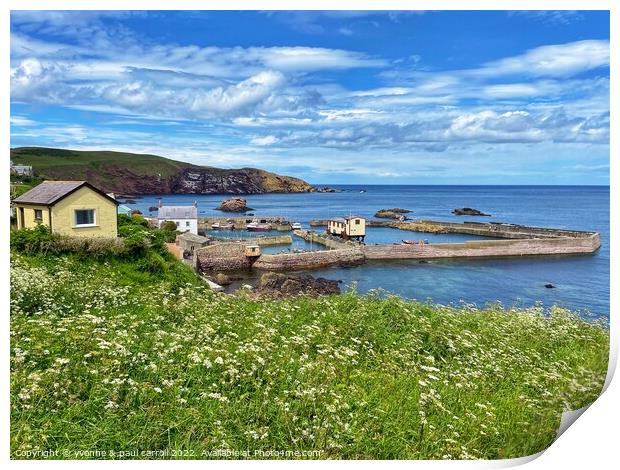 St Abbs harbout Print by yvonne & paul carroll