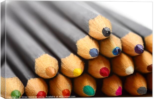 Wood Pencils Canvas Print by Drew Gardner