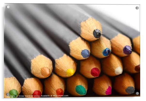 Wood Pencils Acrylic by Drew Gardner