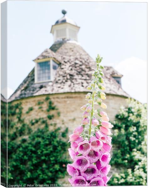 Foxgloves ( Digitalis ) In The Walled Flower Garden At Rousham H Canvas Print by Peter Greenway