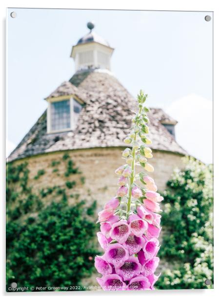 Foxgloves ( Digitalis ) In The Walled Flower Garden At Rousham H Acrylic by Peter Greenway