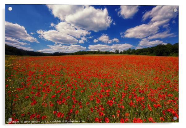 Poppy Field in The Gargen of England Kent UK Acrylic by John Gilham