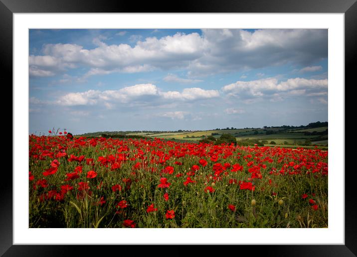 South Yorkshire Summertime Landscape Framed Mounted Print by J Biggadike