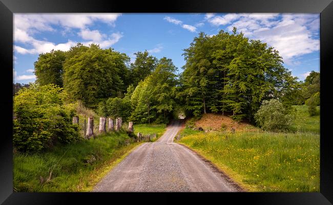 A Picturesque Country Road  Framed Print by Eirik Sørstrømmen