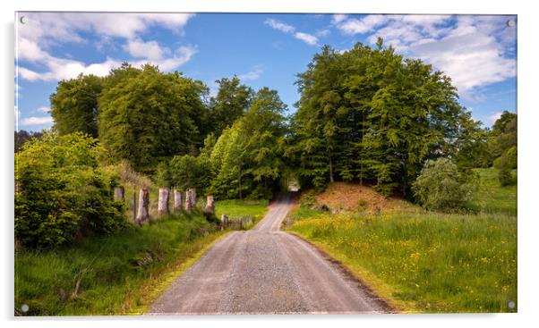 A Picturesque Country Road  Acrylic by Eirik Sørstrømmen
