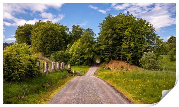 A Picturesque Country Road  Print by Eirik Sørstrømmen