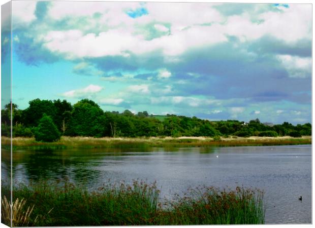 Loch Swilly Canvas Print by Stephanie Moore