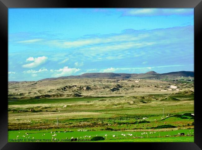 Sligo field with sheep Framed Print by Stephanie Moore
